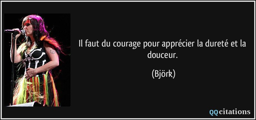 Il faut du courage pour apprécier la dureté et la douceur.  - Björk