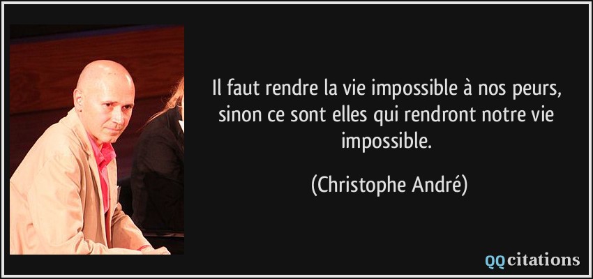Il faut rendre la vie impossible à nos peurs, sinon ce sont elles qui rendront notre vie impossible.  - Christophe André