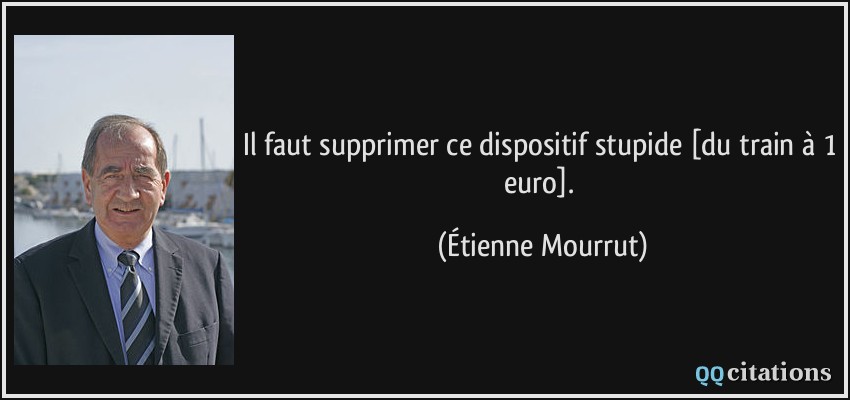 Il faut supprimer ce dispositif stupide [du train à 1 euro].  - Étienne Mourrut