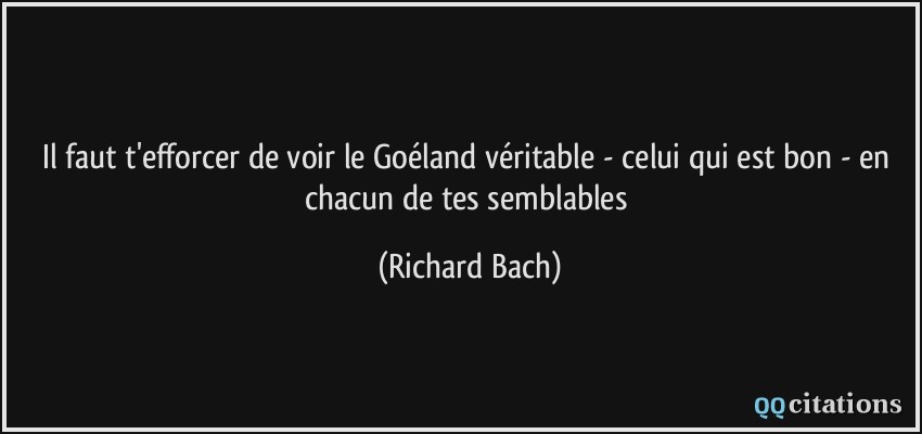 Il faut t'efforcer de voir le Goéland véritable - celui qui est bon - en chacun de tes semblables  - Richard Bach