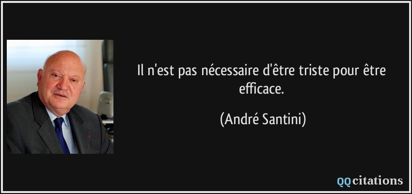 Il n'est pas nécessaire d'être triste pour être efficace.  - André Santini