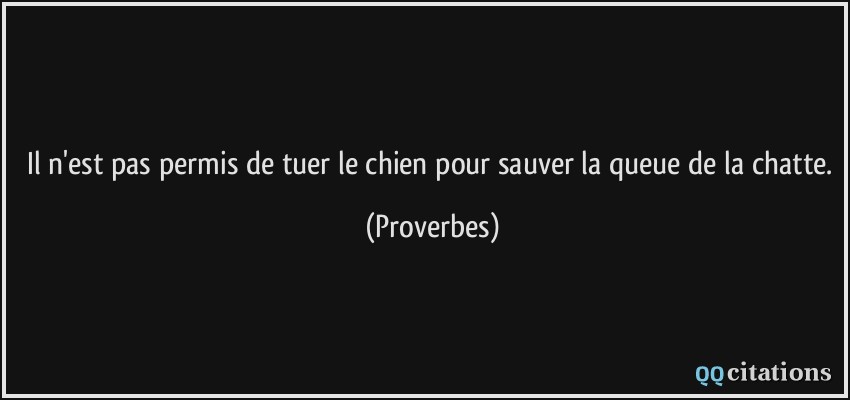 Il n'est pas permis de tuer le chien pour sauver la queue de la chatte.  - Proverbes