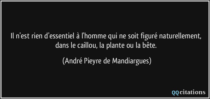 Il n'est rien d'essentiel à l'homme qui ne soit figuré naturellement, dans le caillou, la plante ou la bête.  - André Pieyre de Mandiargues