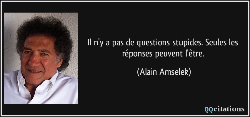 Il n'y a pas de questions stupides. Seules les réponses peuvent l'être.  - Alain Amselek