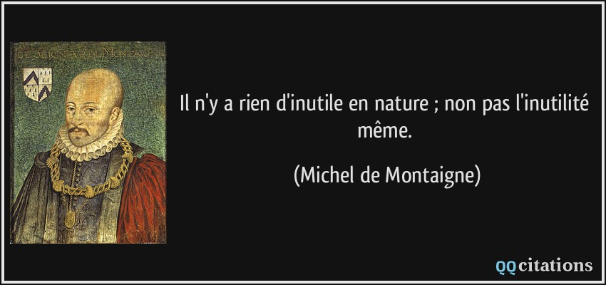 Il n'y a rien d'inutile en nature ; non pas l'inutilité même.  - Michel de Montaigne