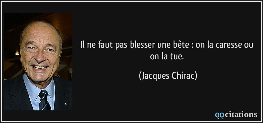 Il ne faut pas blesser une bête : on la caresse ou on la tue.  - Jacques Chirac