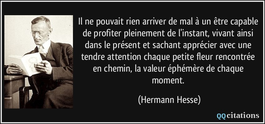 Il ne pouvait rien arriver de mal à un être capable de profiter pleinement de l'instant, vivant ainsi dans le présent et sachant apprécier avec une tendre attention chaque petite fleur rencontrée en chemin, la valeur éphémère de chaque moment.  - Hermann Hesse