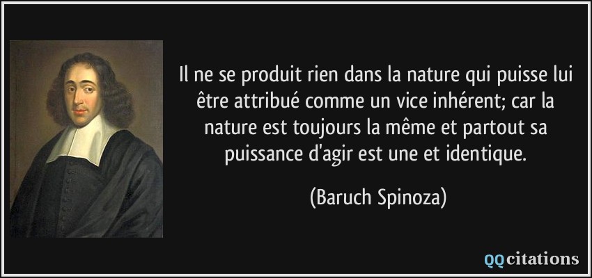Il ne se produit rien dans la nature qui puisse lui être attribué comme un vice inhérent; car la nature est toujours la même et partout sa puissance d'agir est une et identique.  - Baruch Spinoza