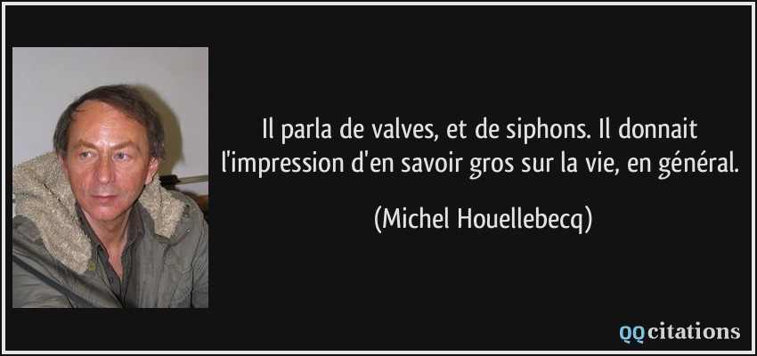 Il parla de valves, et de siphons. Il donnait l'impression d'en savoir gros sur la vie, en général.  - Michel Houellebecq