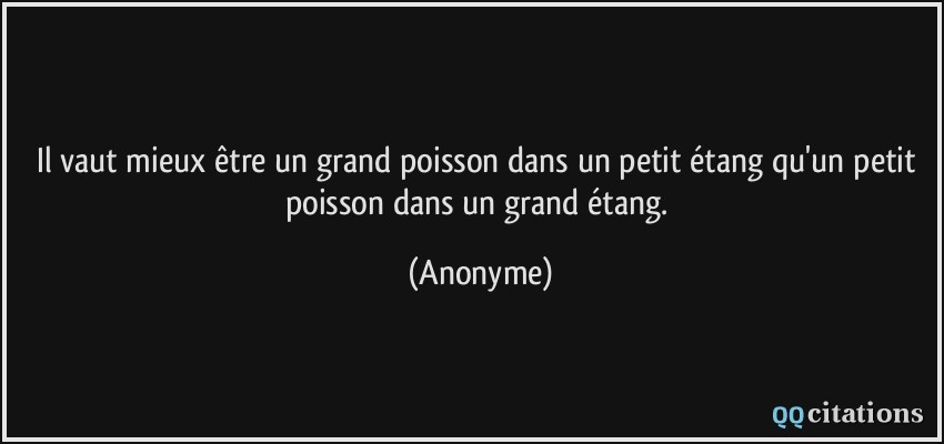 Il vaut mieux être un grand poisson dans un petit étang qu'un petit poisson dans un grand étang.  - Anonyme