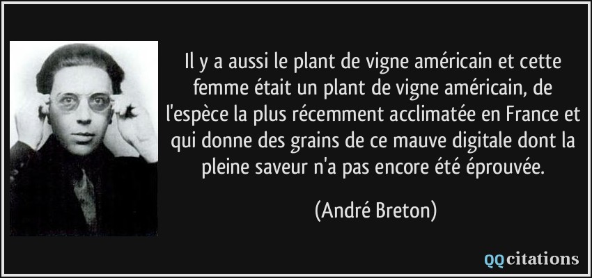 Il y a aussi le plant de vigne américain et cette femme était un plant de vigne américain, de l'espèce la plus récemment acclimatée en France et qui donne des grains de ce mauve digitale dont la pleine saveur n'a pas encore été éprouvée.  - André Breton