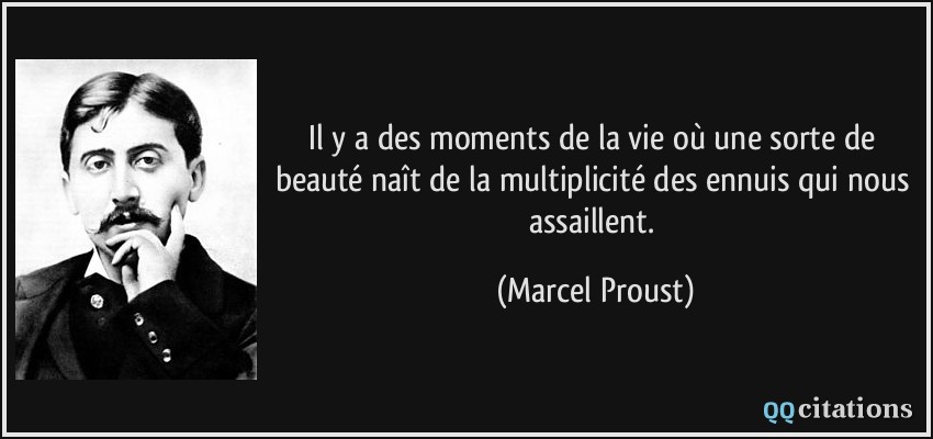 Il y a des moments de la vie où une sorte de beauté naît de la multiplicité des ennuis qui nous assaillent.  - Marcel Proust