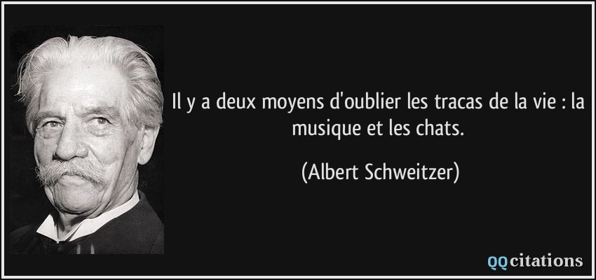 Il y a deux moyens d'oublier les tracas de la vie : la musique et les chats.  - Albert Schweitzer