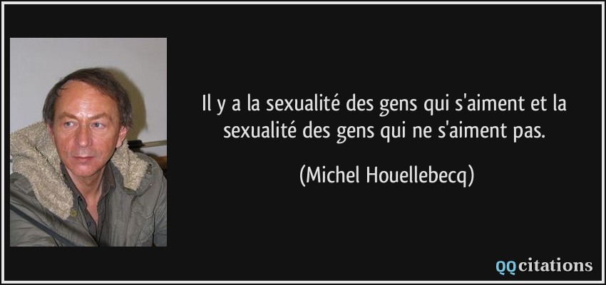 Il y a la sexualité des gens qui s'aiment et la sexualité des gens qui ne s'aiment pas.  - Michel Houellebecq