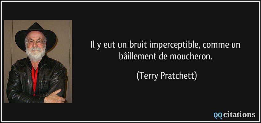 Il y eut un bruit imperceptible, comme un bâillement de moucheron.  - Terry Pratchett
