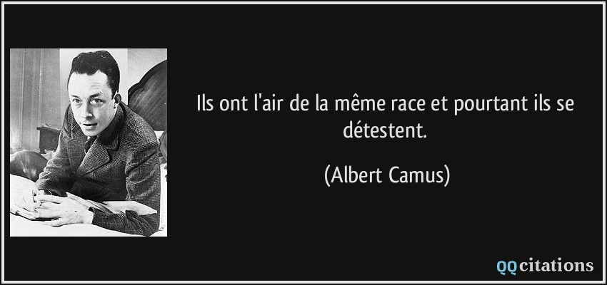 Ils ont l'air de la même race et pourtant ils se détestent.  - Albert Camus