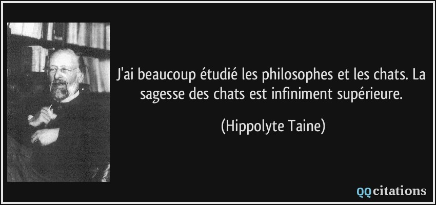 J'ai beaucoup étudié les philosophes et les chats. La sagesse des chats est infiniment supérieure.  - Hippolyte Taine