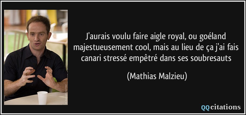 J'aurais voulu faire aigle royal, ou goéland majestueusement cool, mais au lieu de ça j'ai fais canari stressé empêtré dans ses soubresauts  - Mathias Malzieu
