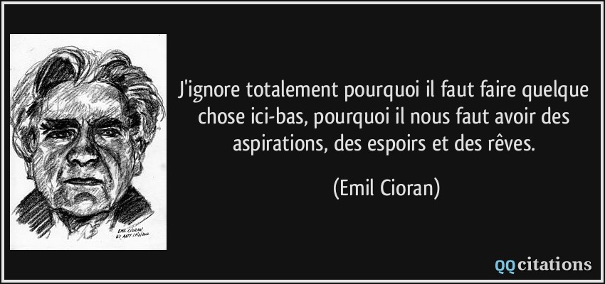 J'ignore totalement pourquoi il faut faire quelque chose ici-bas, pourquoi il nous faut avoir des aspirations, des espoirs et des rêves.  - Emil Cioran