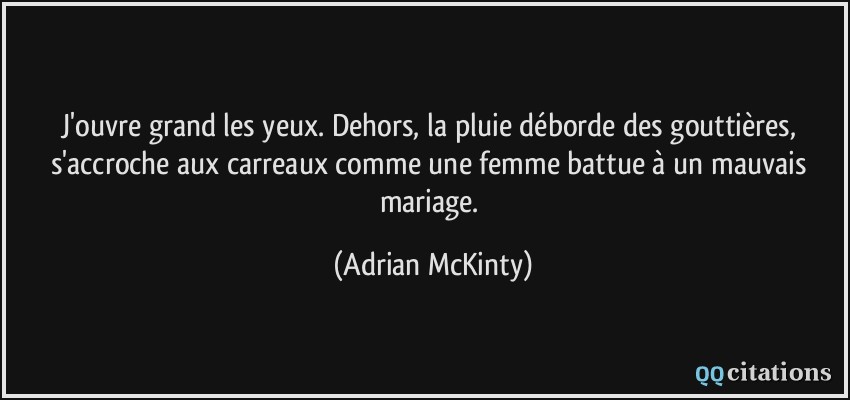 J'ouvre grand les yeux. Dehors, la pluie déborde des gouttières, s'accroche aux carreaux comme une femme battue à un mauvais mariage.  - Adrian McKinty