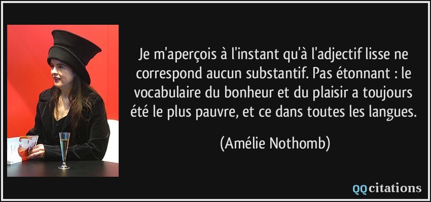 Je m'aperçois à l'instant qu'à l'adjectif lisse ne correspond aucun substantif. Pas étonnant : le vocabulaire du bonheur et du plaisir a toujours été le plus pauvre, et ce dans toutes les langues.  - Amélie Nothomb