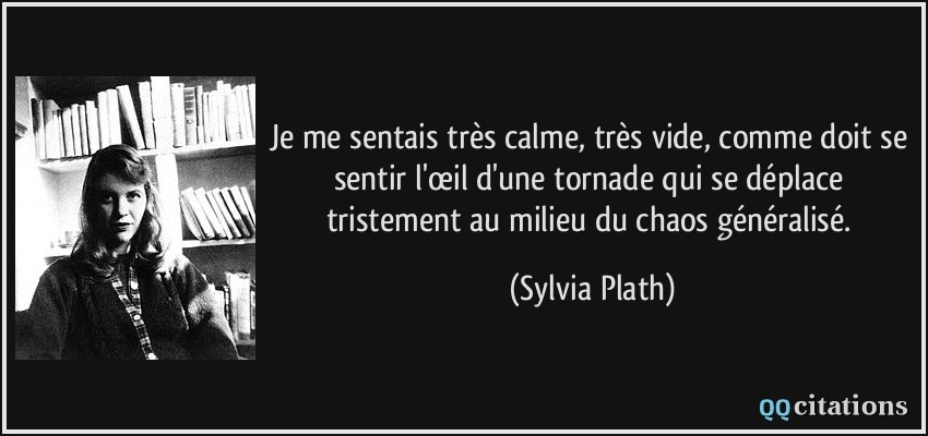 Je me sentais très calme, très vide, comme doit se sentir l'œil d'une tornade qui se déplace tristement au milieu du chaos généralisé.  - Sylvia Plath
