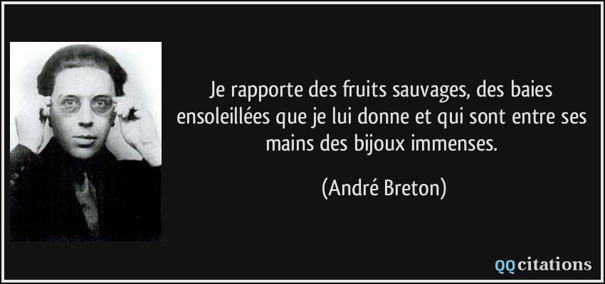 Je rapporte des fruits sauvages, des baies ensoleillées que je lui donne et qui sont entre ses mains des bijoux immenses.  - André Breton