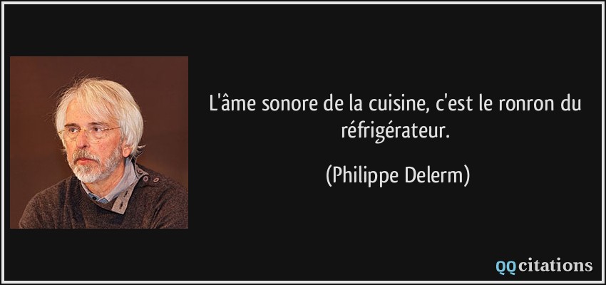 L'âme sonore de la cuisine, c'est le ronron du réfrigérateur.  - Philippe Delerm