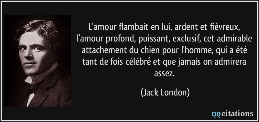 L'amour flambait en lui, ardent et fiévreux, l'amour profond, puissant, exclusif, cet admirable attachement du chien pour l'homme, qui a été tant de fois célébré et que jamais on admirera assez.  - Jack London