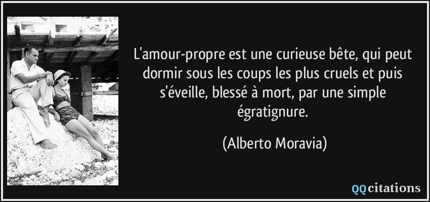 L'amour-propre est une curieuse bête, qui peut dormir sous les coups les plus cruels et puis s'éveille, blessé à mort, par une simple égratignure.  - Alberto Moravia