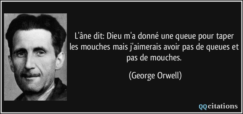 L'âne dit: Dieu m'a donné une queue pour taper les mouches mais j'aimerais avoir pas de queues et pas de mouches.  - George Orwell