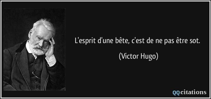 L'esprit d'une bête, c'est de ne pas être sot.  - Victor Hugo