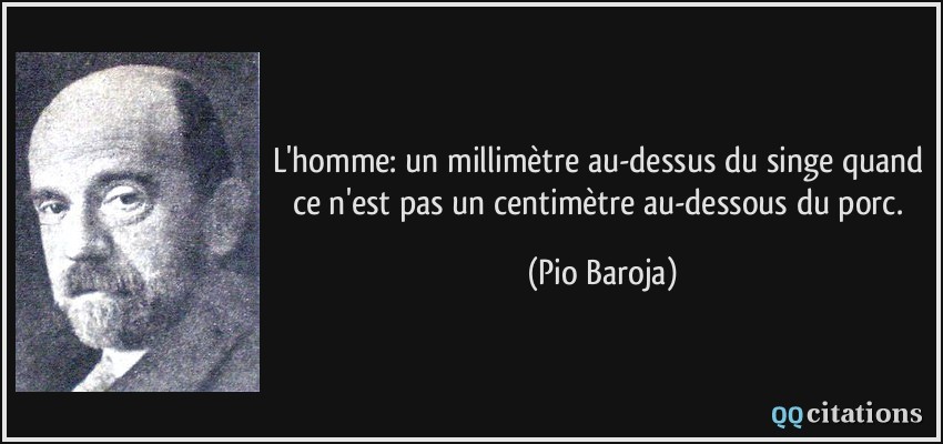 L'homme: un millimètre au-dessus du singe quand ce n'est pas un centimètre au-dessous du porc.  - Pio Baroja
