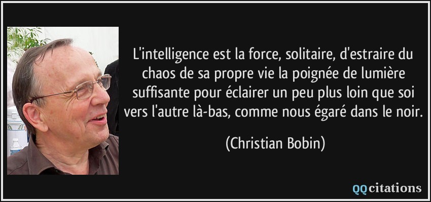 L'intelligence est la force, solitaire, d'estraire du chaos de sa propre vie la poignée de lumière suffisante pour éclairer un peu plus loin que soi vers l'autre là-bas, comme nous égaré dans le noir.  - Christian Bobin