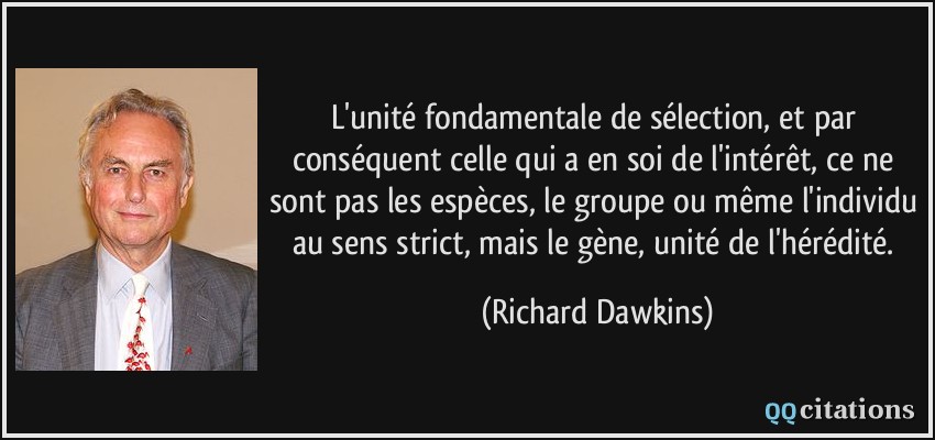 L'unité fondamentale de sélection, et par conséquent celle qui a en soi de l'intérêt, ce ne sont pas les espèces, le groupe ou même l'individu au sens strict, mais le gène, unité de l'hérédité.  - Richard Dawkins