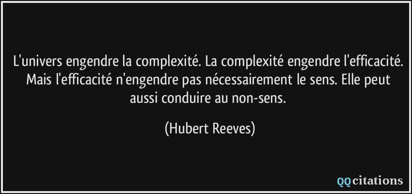 L'univers engendre la complexité. La complexité engendre l'efficacité. Mais l'efficacité n'engendre pas nécessairement le sens. Elle peut aussi conduire au non-sens.  - Hubert Reeves