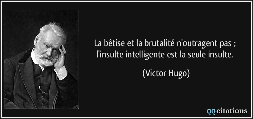La bêtise et la brutalité n'outragent pas ; l'insulte intelligente est la seule insulte.  - Victor Hugo