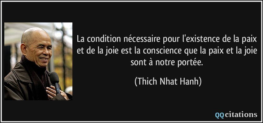 La condition nécessaire pour l'existence de la paix et de la joie est la conscience que la paix et la joie sont à notre portée.  - Thich Nhat Hanh
