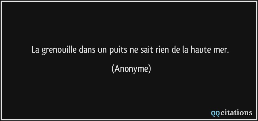 La grenouille dans un puits ne sait rien de la haute mer.  - Anonyme