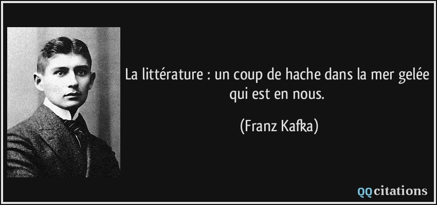 La littérature : un coup de hache dans la mer gelée qui est en nous.  - Franz Kafka