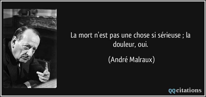 La mort n'est pas une chose si sérieuse ; la douleur, oui.  - André Malraux