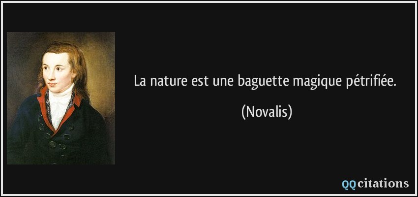 La nature est une baguette magique pétrifiée.  - Novalis