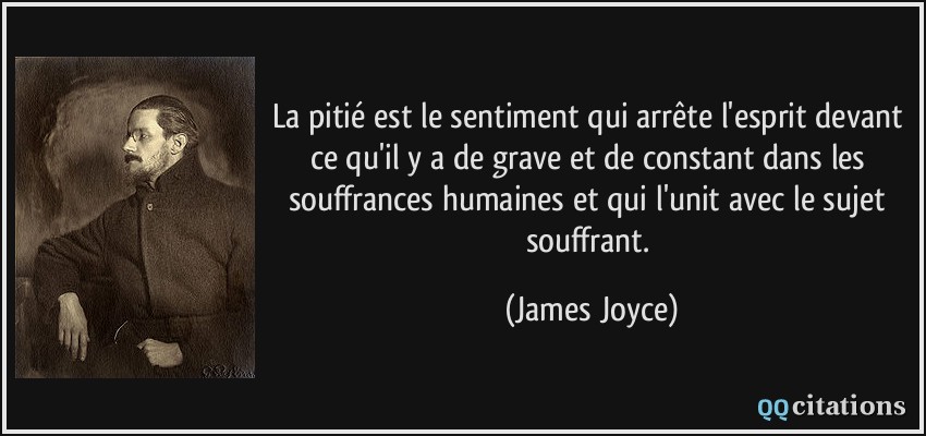 La pitié est le sentiment qui arrête l'esprit devant ce qu'il y a de grave et de constant dans les souffrances humaines et qui l'unit avec le sujet souffrant.  - James Joyce