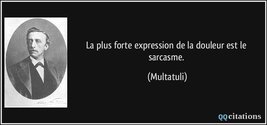 La plus forte expression de la douleur est le sarcasme.  - Multatuli