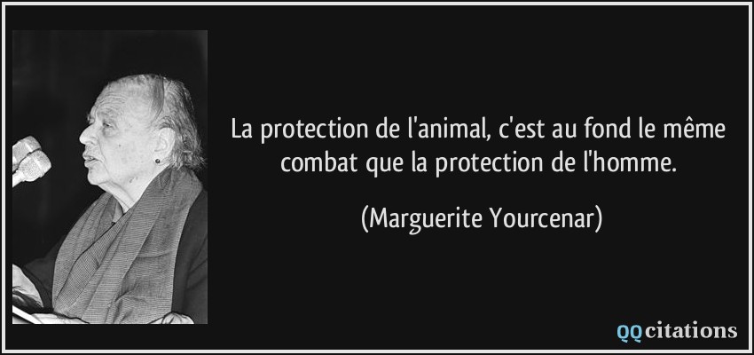 La protection de l'animal, c'est au fond le même combat que la protection de l'homme.  - Marguerite Yourcenar