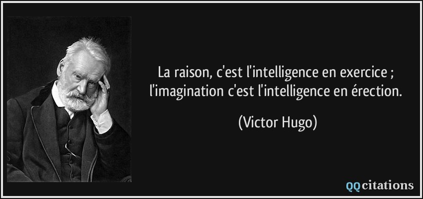 La raison, c'est l'intelligence en exercice ; l'imagination c'est l'intelligence en érection.  - Victor Hugo