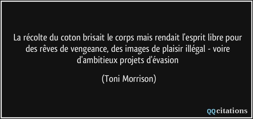 La récolte du coton brisait le corps mais rendait l'esprit libre pour des rêves de vengeance, des images de plaisir illégal - voire d'ambitieux projets d'évasion  - Toni Morrison