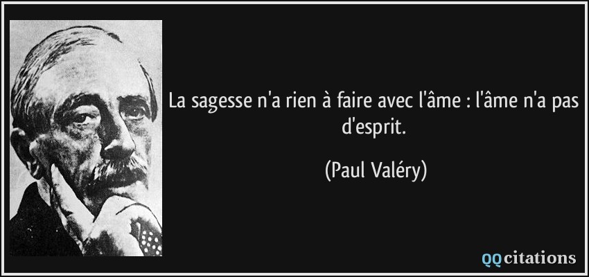 La sagesse n'a rien à faire avec l'âme : l'âme n'a pas d'esprit.  - Paul Valéry