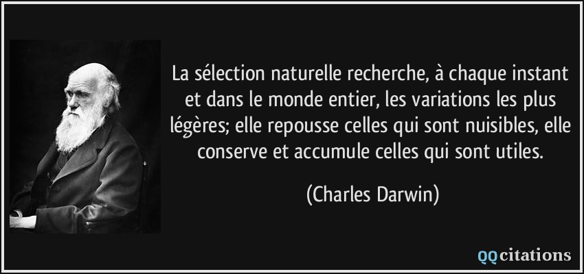 La sélection naturelle recherche, à chaque instant et dans le monde entier, les variations les plus légères; elle repousse celles qui sont nuisibles, elle conserve et accumule celles qui sont utiles.  - Charles Darwin