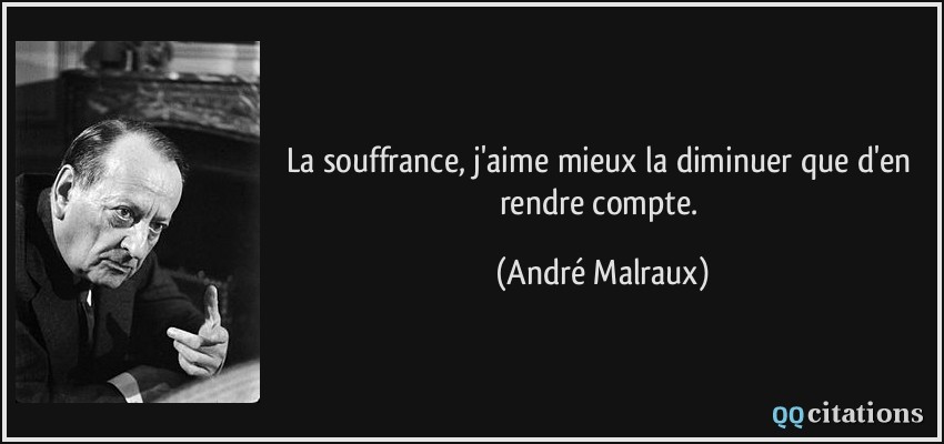 La souffrance, j'aime mieux la diminuer que d'en rendre compte.  - André Malraux